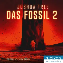 Cover - Joshua Tree - Das Fossil 2