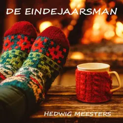 Cover - De eindejaarsman - De eindejaarsman