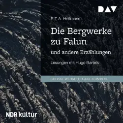 Cover - Die Bergwerke zu Falun und andere Erzählungen - Die Bergwerke zu Falun und andere Erzählungen