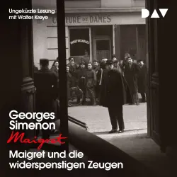 Cover - Georges Simenon - Georges Simenon - Band 53 - Maigret und die widerspenstigen Zeugen