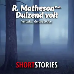 Cover - Robert Morris - Duizend volt