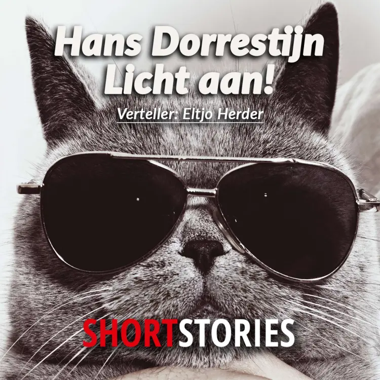Cover von Hans Dorrestijn - Licht aan!