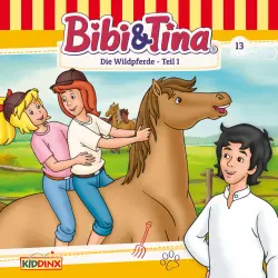 Cover - Bibi & Tina -  Folge 13 - Die Wildpferde, Teil 1