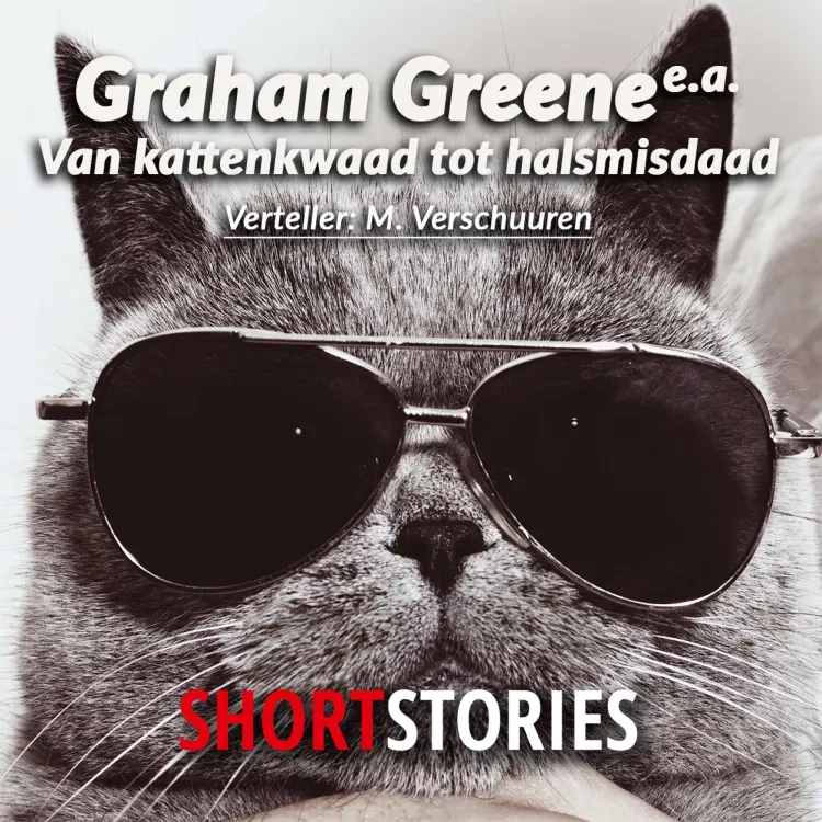 Cover von Herman Pieter de Boer - Van kattenkwaad tot halsmisdaad