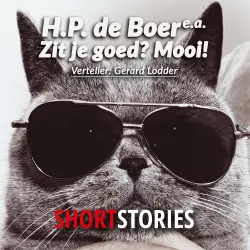 Cover - Herman Pieter de Boer - Zit je goed? Mooi!