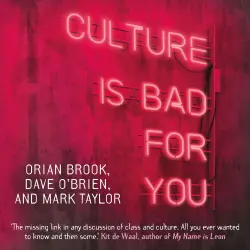 Cover - Orian Brook - Culture is bad for you - Inequality in the cultural and creative industries