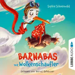 Cover - Sophie Schoenwald - Barnabas der Wolkenschaufler
