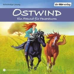 Cover - Rosa Schwarz - Die Ostwind-Abenteuer-Reihe - Band 3 - Ein Freund für Feuersturm
