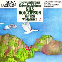 Cover - Nils Holgersson -  Folge 2 - Die wunderbare Reise des kleinen Nils Holgersson mit den Wildgänsen