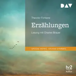 Cover - Theodor Fontane - Erzählungen