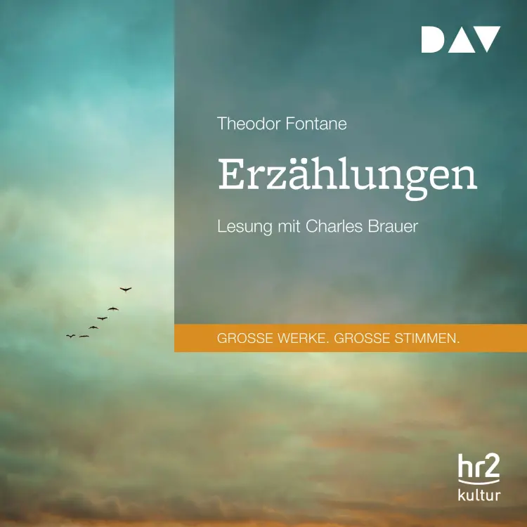 Cover von Theodor Fontane - Erzählungen
