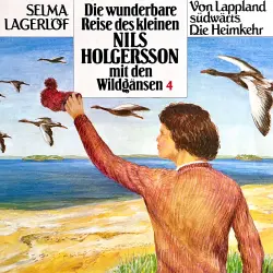 Cover - Nils Holgersson -  Folge 4 - Die wunderbare Reise des kleinen Nils Holgersson mit den Wildgänsen