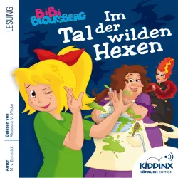 Cover - Matthias von Bornstädt - Bibi Blocksberg - Hörbuch - Im Tal der wilden Hexen