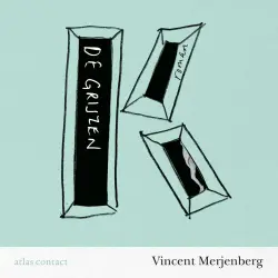 Cover - Vincent Merjenberg - De grijzen