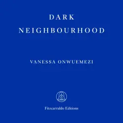 Cover - Vanessa Onwuemezi - Dark Neighbourhood