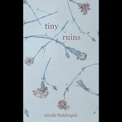 Cover - Nicole Haldoupis - Tiny Ruins