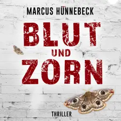 Cover - Marcus Hünnebeck - Drosten & Sommer - Band 3 - Blut und Zorn