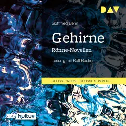 Cover - Gottfried Benn - Gehirne. Rönne-Novellen