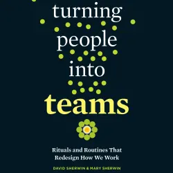 Cover - David Sherwin - Turning People into Teams - Rituals and Routines That Redesign How We Work