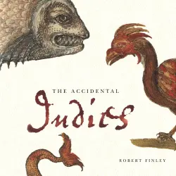 Cover - Robert Finley - The Accidental Indies
