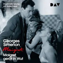 Cover - Georges Simenon - Georges Simenon - Band 61 - Maigret gerät in Wut