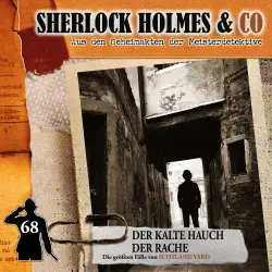 Cover - Sherlock Holmes & Co - Folge 68 - Der kalte Hauch der Rache