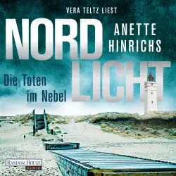 Cover - Anette Hinrichs - Boisen & Nyborg ermitteln - Band 4 - Nordlicht - Die Toten im Nebel