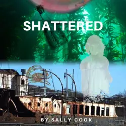 Cover - Sally Cook - Shattered