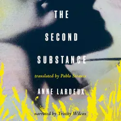 Cover - Anne Lardeux - The Second Substance