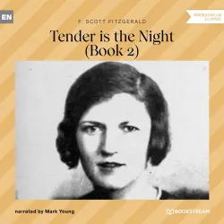 Cover - F. Scott Fitzgerald - Tender is the Night - Book 2