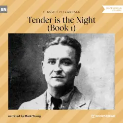 Cover - F. Scott Fitzgerald - Tender is the Night - Book 1
