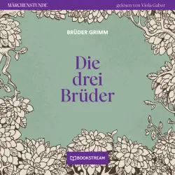 Cover - Brüder Grimm - Märchenstunde - Folge 107 - Die drei Brüder