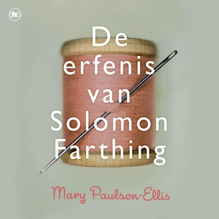 Cover von Mary Paulson-Ellis - De erfenis van Solomon Farthing