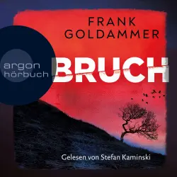 Cover - Frank Goldammer - Felix Bruch - Band 1 - Bruch - Ein dunkler Ort