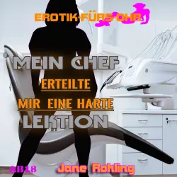 Cover - Erotik für's Ohr - Mein Chef erteilte mir eine harte Lektion