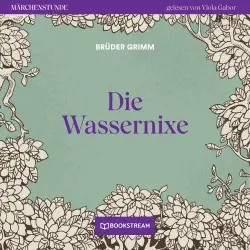Cover - Brüder Grimm - Märchenstunde - Folge 151 - Die Wassernixe