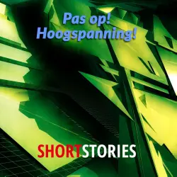 Cover - Maarten Biesheuvel - Pas op! Hoogspanning!