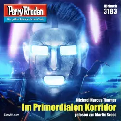 Cover - Michael Marcus Thurner - Perry Rhodan - Erstauflage 3183 - Im Primordialen Korridor