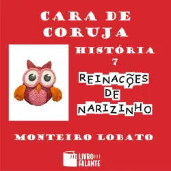 Cover - Monteiro Lobato - Cara de coruja