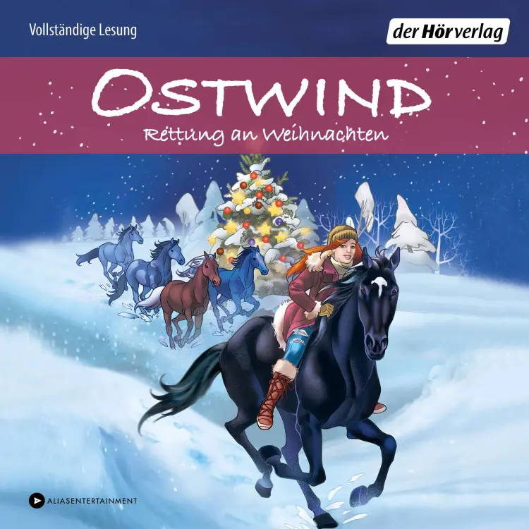Cover von Rosa Schwarz - Die Ostwind-Abenteuer-Reihe - Band 4 - Rettung an Weihnachten