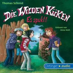 Cover - Thomas Schmid - Die Wilden Küken 4. Es spukt! (Gekürzte Lesung)