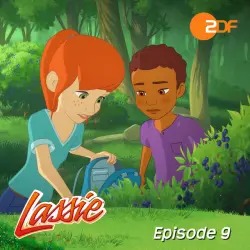 Cover - Lassie - Episode 09: Der Blaubeerkuchen-Wettbewerb (Das Original Hörspiel zur TV-Serie)