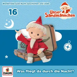 Cover - Unser Sandmännchen - Folge 16 - Was fliegt da durch die Nacht?