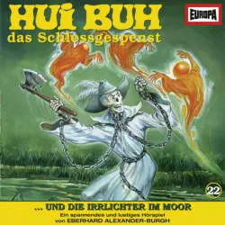 Cover - Hui Buh, das Schlossgespenst - 22/und die Irrlichter im Moor