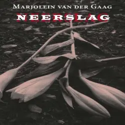 Cover - Marjolein van der Gaag - Neerslag