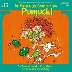 Cover - Various Artists - Kaut / Schneider: De Meischter Eder und sin Pumuckl, Vol. 15