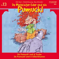Cover - Various Artists - De Meischter Eder und sin Pumuckl, Vol. 13