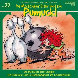 Cover - Various Artists - De Meischter Eder und sin Pumuckl - No. 22