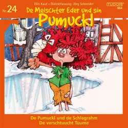 Cover - Various Artists - KAUT, E.: Meischter Eder und sin Pumuckl (De), No. 24