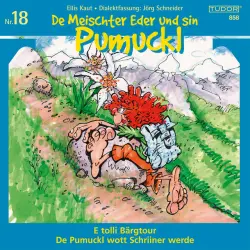 Cover - Various Artists - Kaut / Schneider: De Meischter Eder und sin Pumuckl , Vol. 18